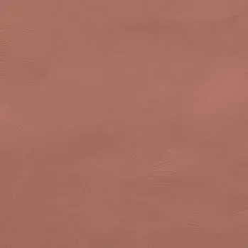 Clay backdrop: a muted terracotta with a subtle mottled finish.