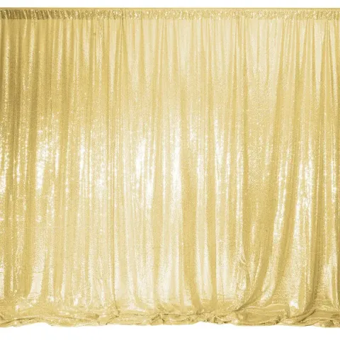 Gold sequin photo booth backdrop.
