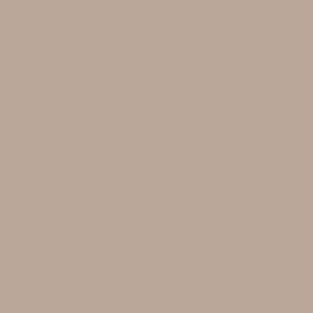 Suede backdrop colour swatch: a flat warm taupe.
